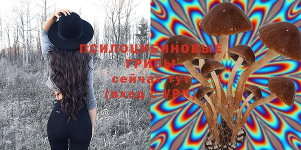 Альфа ПВП Куйбышев