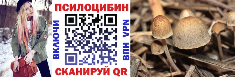 Псилоцибиновые грибы Psilocybine cubensis Наволоки